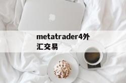 metatrader4外汇交易(metatrader4外汇交易平台出金多久到账)