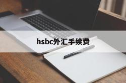 hsbc外汇手续费(外汇银行手续费怎么算)